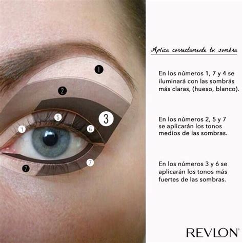 C Mo Aplicar Correctamente Las Sombras Revlon Beauty Hacks Beauty Tips Eye Makeup Nose Ring