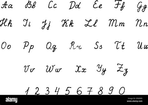 Hand Drawn Vector Alphabet Calligraphic Script Font Calligraphy