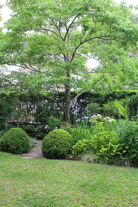 Tour A Shade Garden In Charleston Japanese Maple Garden Shade Garden