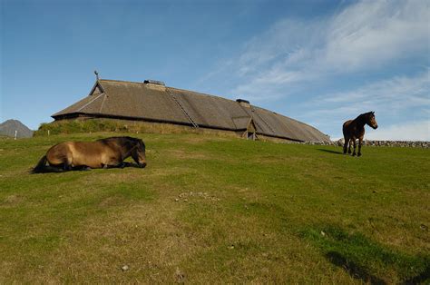 The walls were lined with clay or consisted of wooden planks placed vertically into the ground. Viking longhouse with horses Photograph by Ulrich Kunst And Bettina Scheidulin