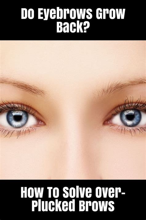Do Eyebrows Grow Back How To Solve Over Plucked Brows How To Grow