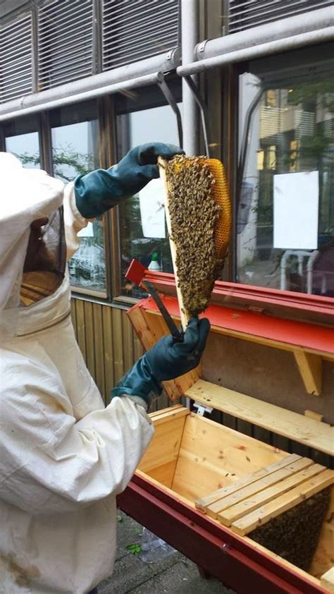 Che Guebee Apiary Teaching Top Bar Hive Beekeeping At The University