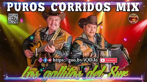 Los Gallitos Del Sur Mix 30 Grandes Exitos Puros Corridos Mix