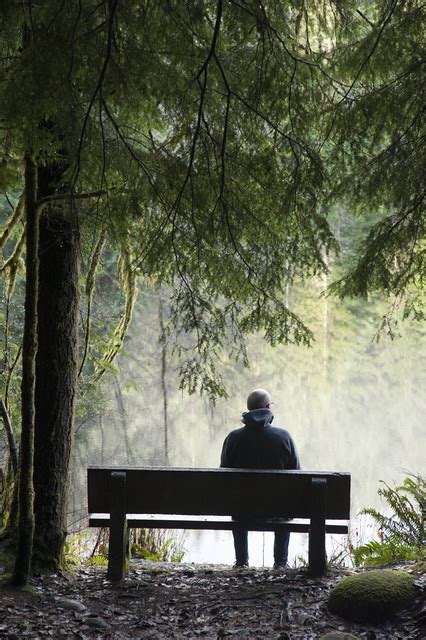 Man Sitting Alone On A Bench In A Rainforest By A Misty Lake Flickr