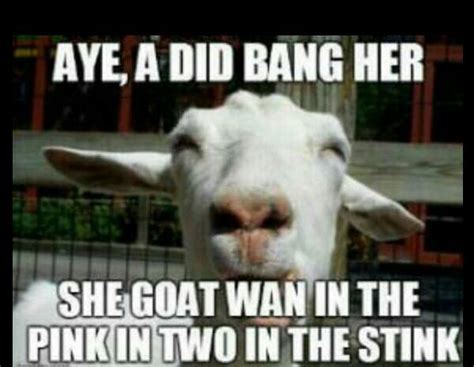 Goat Jokes Goatjokes Twitter