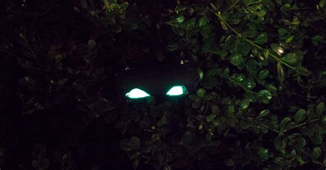 Diy Spooky Glow Stick Eyes