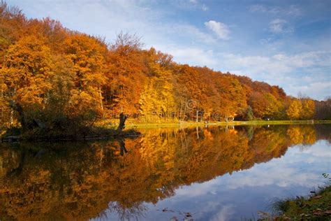 Autumn Lake Stock Image Image Of Forest Landscape Fresh 27231855