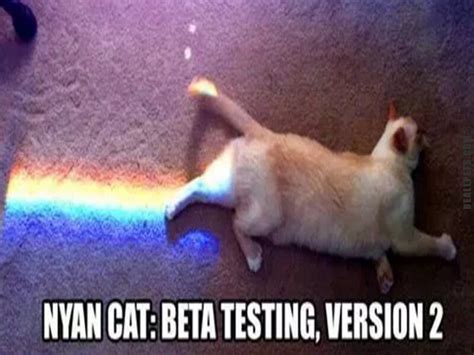 Clean memes are all over the internet, and we have picked out the best out of them for you guys. Version 2 Cat Meme | Nyan cat, Rainbow cat, Funny animal ...