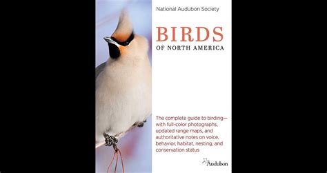 National Audubon Society Birds Of North America A Guide Review