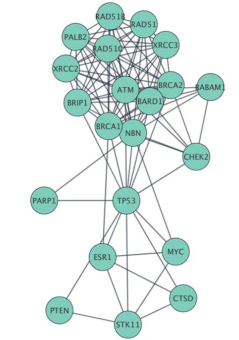 Tour Of Cytoscape