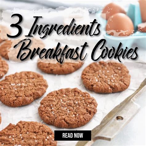 3 Ingredients Breakfast Cookies Pink N Proper