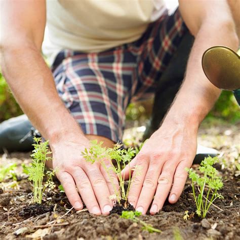 The Surprising Health Benefits Of Gardening The Healthy