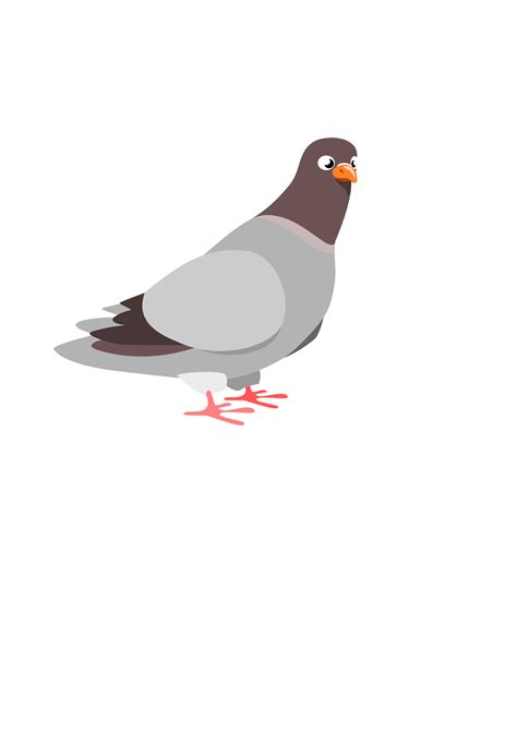 Clipart Pigeon