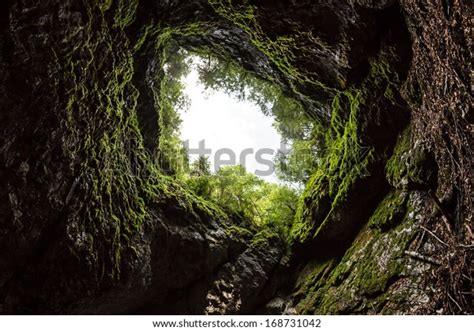 Mountain Forrest View Cave Stock Photo Edit Now 168731042