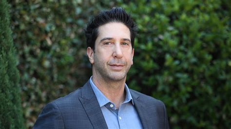 Still married to his wife zoe buckman? David Schwimmer hilariously responds to his 'lookalike ...