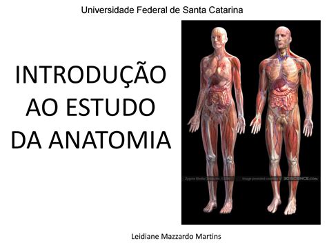 1 Introdução Ao Estudo Da Anatomia By Fabio Silva Issuu