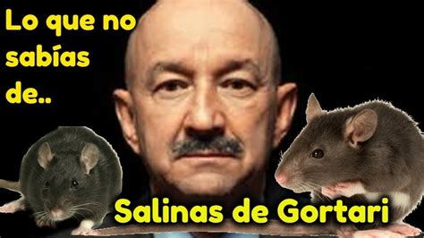 18 Datos Que No Sabías De Carlos Salinas De Gortari Historia Youtube