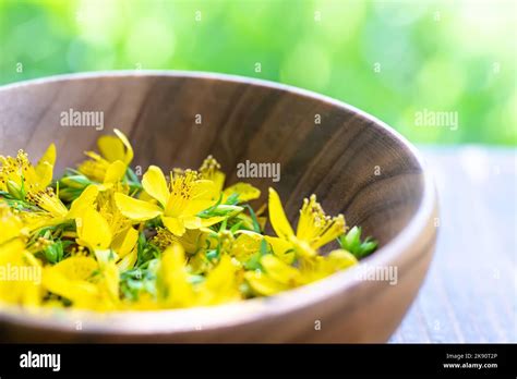 Herbs used for medicine hi-res stock photography and images - Alamy