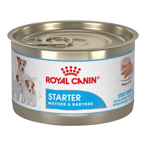 Home Dog Foods Royal Canin Starter Mother And Babydog Mousse In Sauce
