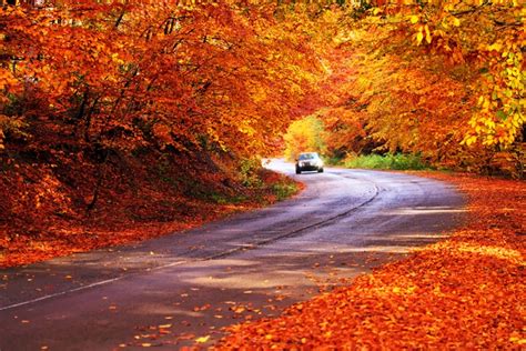 Alures Favorite New York Destinations For Viewing Fall Foliage