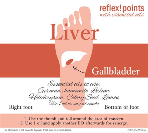 Liver Reflex Points Essential Oil For Liver Liver Detox Essential