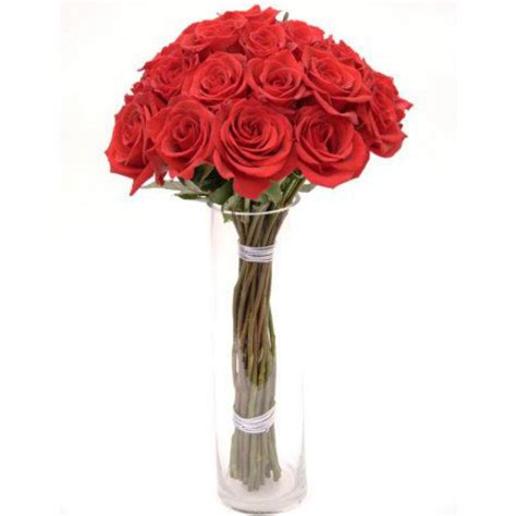 Modern Long Stem Roses Best Romantic Roses In Nyc