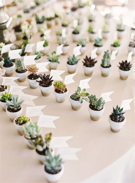 Succulent Wedding Favors I Loved The Diy Display So Unique