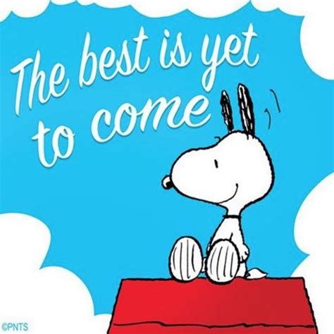 17 Best Images About I Love Snoopy On Pinterest Peanuts Snoopy