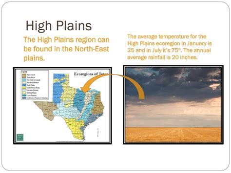 Ppt Ecoregions Of Texas Powerpoint Presentation Free Download Id