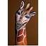 20 Amazing Handimals Hand Art Pictures