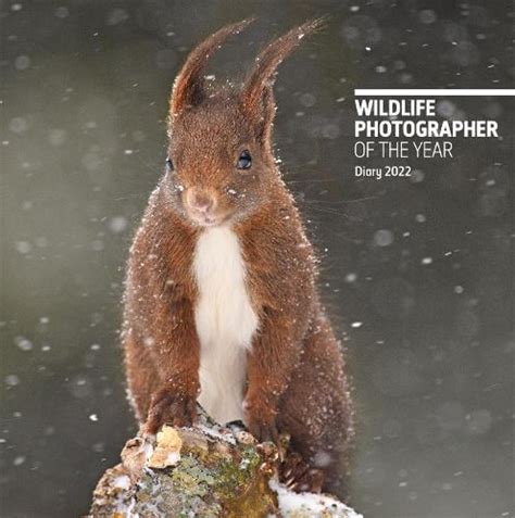 Wildlife Photographer Of The Year Pocket Diary 2022 By Natural History