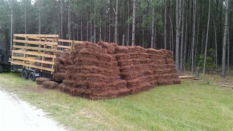 Pine Straw Delivery And Installation Near Me Corey Winslow