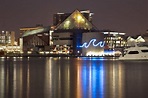 National Aquarium is one of the very best things to do in Baltimore