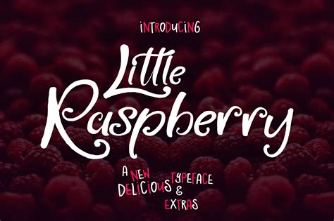 Little Raspberry 7399 Script Font Bundles
