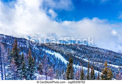 Snowy Mountain Landscape Of The Canadian Rockies In Winter Pine Trees