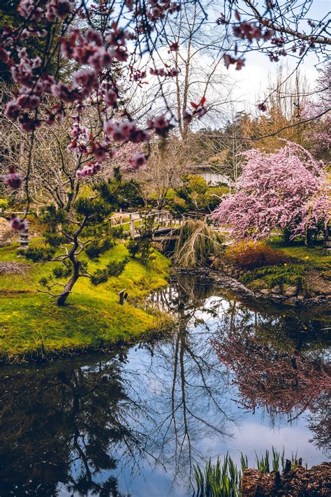 Spring Wallpaper Pictures Download Free Images On Unsplash