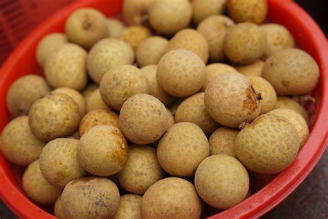 Lanzones Is A Sweet Edible Fruit That Grows Throughout Southeast Asia