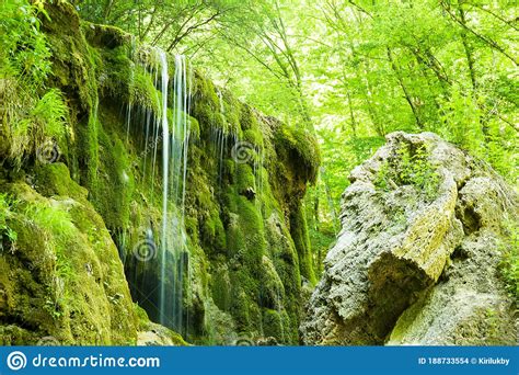 Stunning Waterfall In A Green Sunny Forest Water Flows Down Rocks Covered With Bright Green