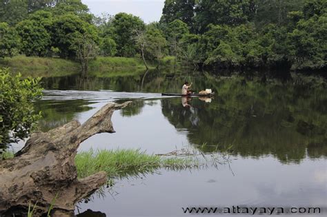 Jalan jeruk bonteng, dusun secatuhu, desa wisata cibuntu, pasawahan, seda. Pesona Keindahan Desa dan Hutan Wisata Buluhcina - RiauMagz