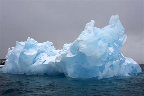 All About Icebergs — Icebergs And Glaciers — Beyond Penguins And Polar