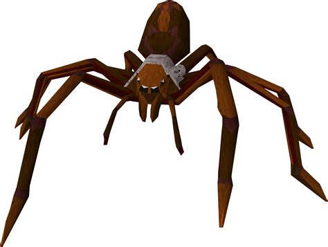 Filehuge Spiderpng The Runescape Wiki