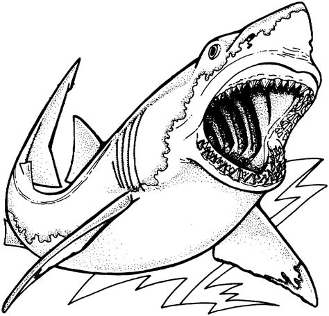 Imagens de tubarões para imprimir e colorir 3 Fichas e Atividades