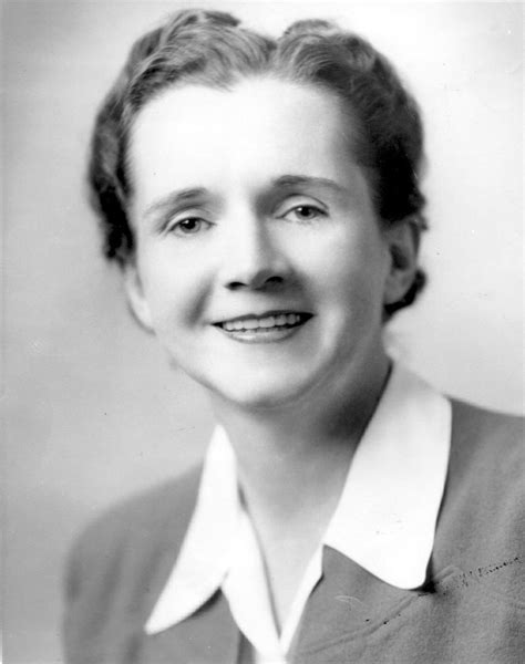 Rachel Carson Wikipedia