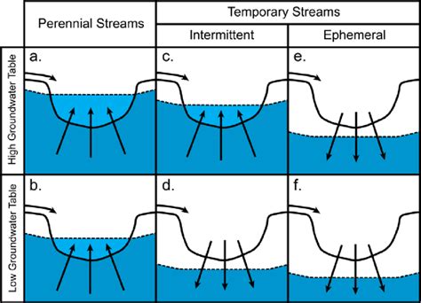 Channel Cross Sectional Schematic Showing Perennial Intermittent And