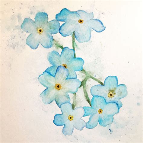 Forget Me Not Flower Painting Watercolor Flower Painting Watercolor