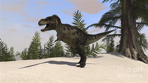 Tyrannosaurus Rex Hunting For Its Next Digital Art By Kostyantyn