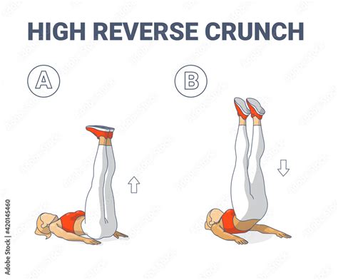 High Reverse Crunch Woman Home Workout Exercise Illustration Athletic