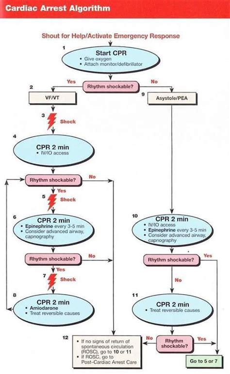 Cardiac Arrest Circular Algorithm Study Group Medicaltalknet