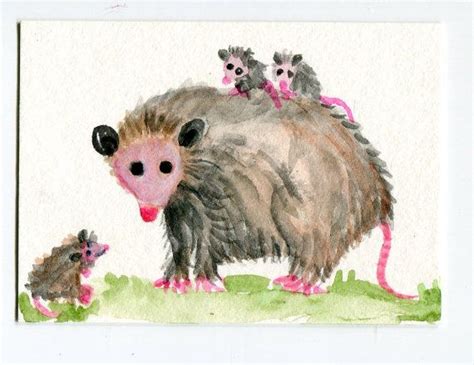 Aceo Original Mama Possum With Baby Opossums Watercolor Etsy Baby