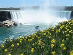 10 Must-do Things While Visiting The Niagara Falls - WorldAtlas